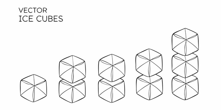 Vector Ice Cubes In A Linear Sketch Style Illustration