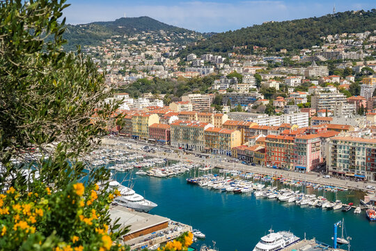 View of the city of Nice from the observation deck with yellow flowers. A city on the Cote d'Azur of France