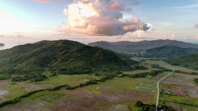 Aerial drone view of a small farming settlement among coconut palms beside green and dry farm fields with jungle mountains in the background, Barotuan, El Nido, Palawan, Philippines.