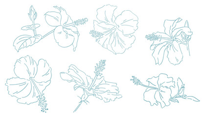 A vector set of hand-drawn hibiscus flowers, all elements created with contour lines. A set of summer flowers in a doodle style on the Amalfi Coast. © MaritsaArt