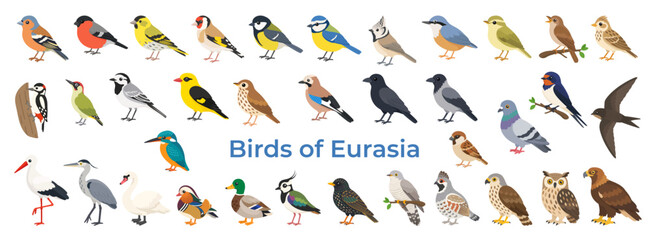 Fototapeta premium Eurasian bird collection in flat style. Eurasian bird set featuring iconic species for education, wildlife guides and learning.