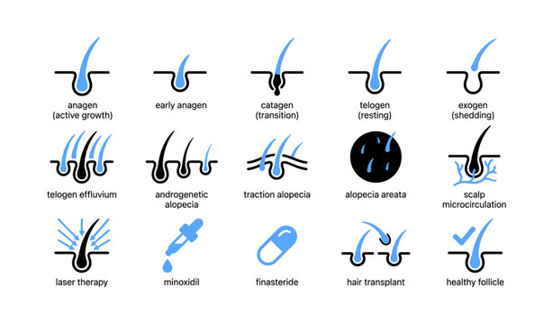 Hair and scalp medical icons showing growth stages and treatments