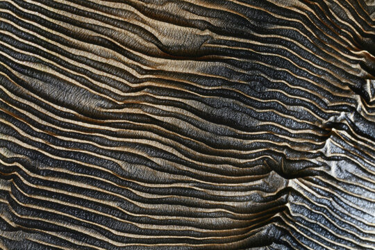 Macro of textile with ripple lines, texture background, studio shot photo
