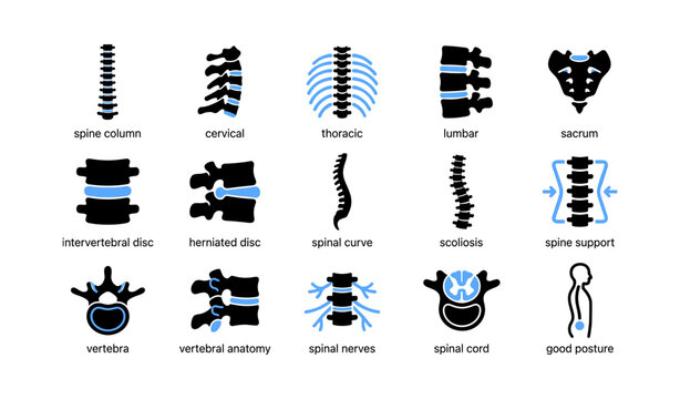 Spine anatomy icons showing regions and conditions on white background