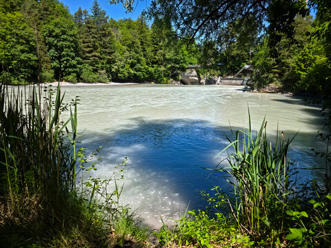germany, serene riverside view along lech river surrounded by flourishing forest and refreshing summer nature