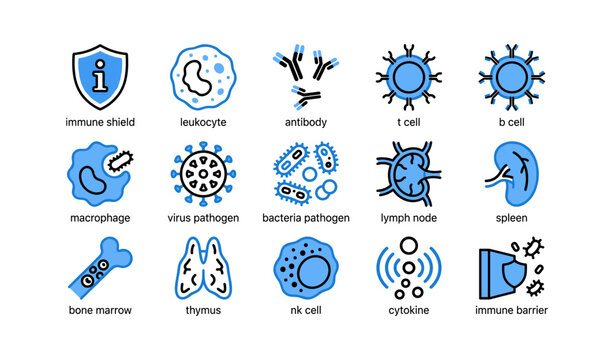 Immune system icons arranged in grid on white background