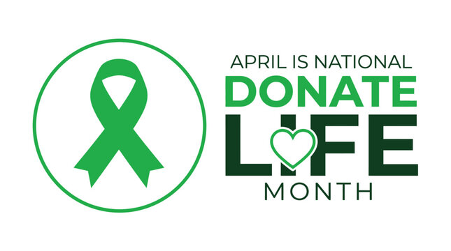 Bright green ribbon vector illustration promoting the national donate life month awareness event for charity