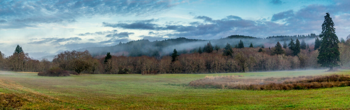Foggy Day in Jewell Meadows Wildlife Roosevelt Elk Area, Clatsop County, Oregon Coast