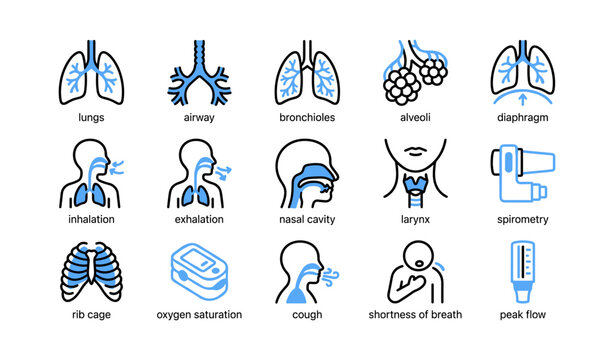 Respiratory system and breathing icons arranged in labeled grid