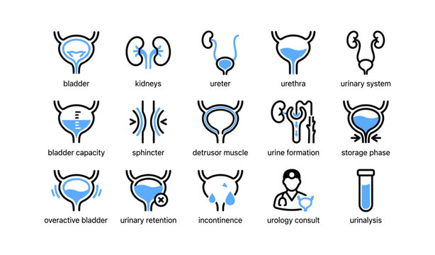 Urinary system icons showing organs and conditions grid