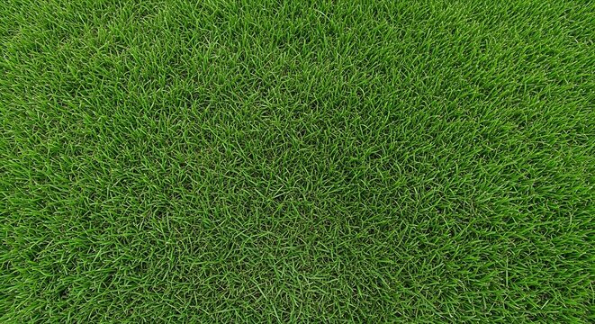 Lush green grass texture natural lawn background for design and compositing