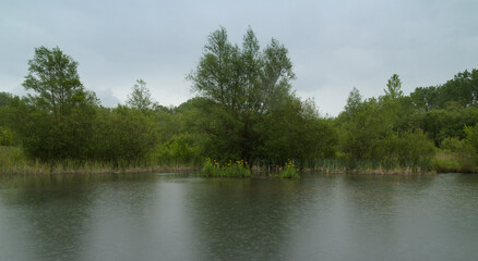 Obraz premium The Salburua Wetlands restored from being drained farmland. Parque de Salburua close to Vitoria Gasteiz, Basque Contry, Spain 