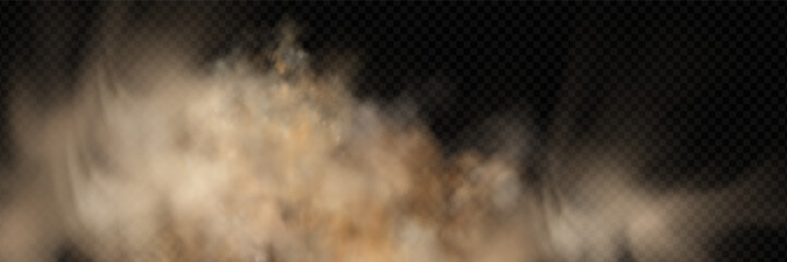 Fototapeta premium Brown sand and dirt particle burst effect.