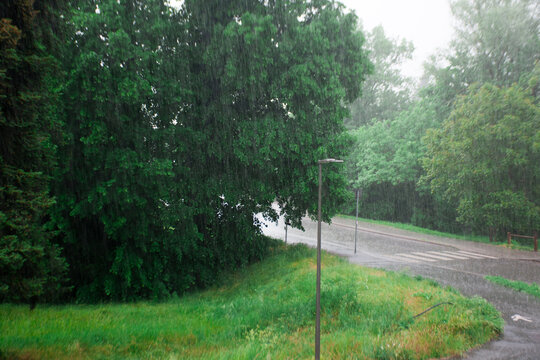 Summer rain falling over a quiet urban park with wet asphalt, crosswalk and lush green trees. Atmospheric weather scene capturing rainfall, freshness and seasonal change.
