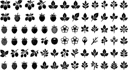 Obraz premium Black Raspberry and Berry Plant Icon Set with Fruit Silhouettes, Leaf Branches and Botanical Food Elements Isolated on White Background