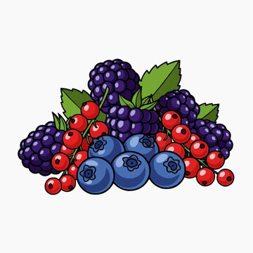 Illustration of a pile of ripe and juicy berries, including blackberries, blueberries, and redcurrants, with green leaves on a white background