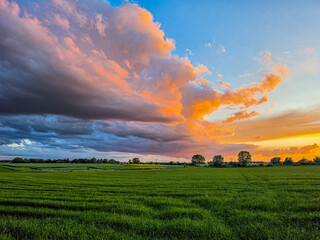 Vibrant rural landscape with lush green fields stretching toward the horizon beneath dramatic clouds lit by the setting sun. Strong color contrasts between the sky and farmland create a striking count © tl6781