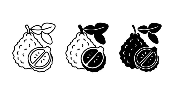 Kaffir Lime Icons Set, Citrus Fruit Vector Graphics, Fresh Ingredient Line Art and Silhouette