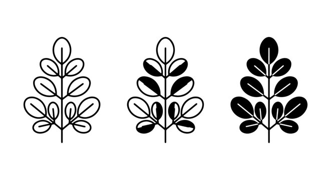 Moringa Leaf Icons, Simple Botanical Vector Graphics, Organic Plant Elements, Healthy Food Symbols