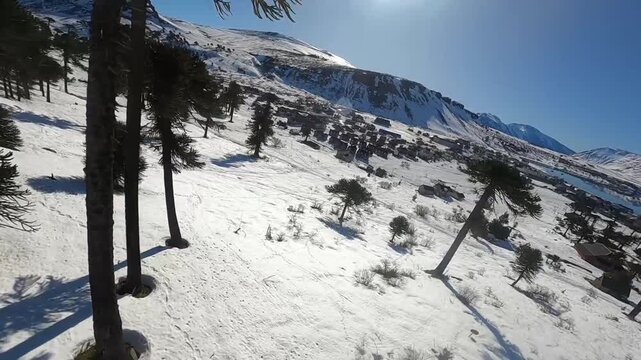 snow covered mountains view