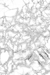 Obraz premium White Gray Abstract Cracked Marble Texture Background