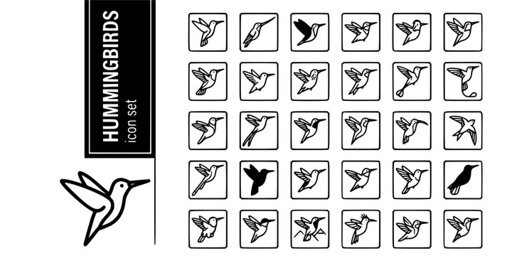 Hummingbirds Swifts Bold Line Icons-Giant Sword-Billed Violet Sabrewing Ruby-Throated Anna's Bee Hummingbird Marvelous Spatuletail-25 Hummingbird Icon Set Vector