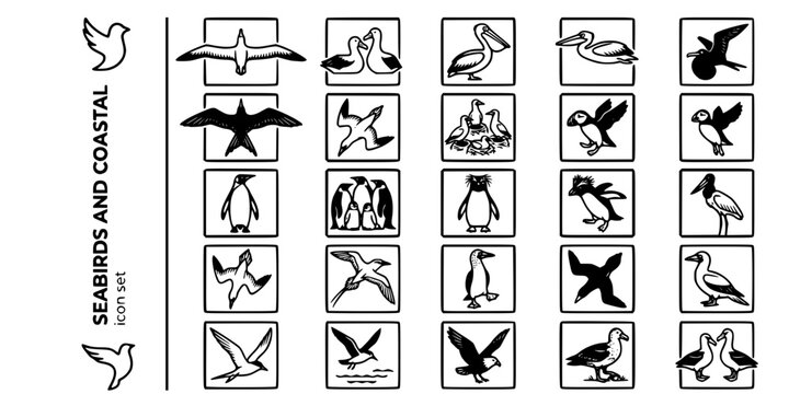 Seabirds Coastal Birds Bold Line Icons-Albatross Pelican Frigatebird Gannet Puffin Emperor Penguin King Penguin Macaroni Rockhopper-25 Seabird Icon Set Vector