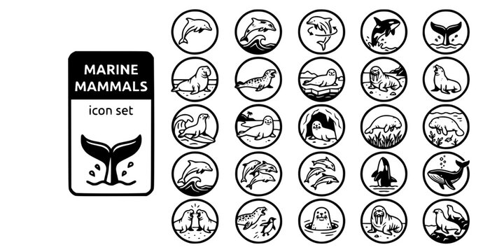 Marine Mammals Ocean Bold Line Icons-Bottlenose Dolphin Orca Humpback Elephant Seal Leopard Seal Walrus Sea Lion Dugong Manatee-25 Marine Mammals Icon Set Vector