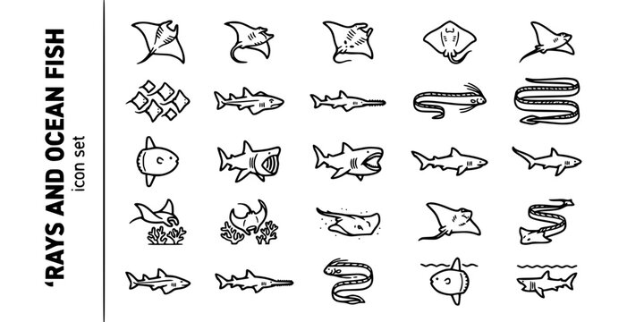 Rays Extraordinary Ocean Fish Bold Line Icons-Giant Manta Reef Manta Stingray Eagle Ray Sawfish Oarfish Sunfish Basking Megamouth-25 Ocean Fish Icon Set Vector