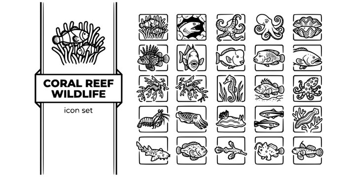 Coral Reef Tropical Ocean Bold Line Icons-Clownfish Moray Eel Octopus Giant Clam Lionfish Parrotfish Napoleon Wrasse Seahorse Leafy Sea Dragon-25 Reef Icon Set Vector