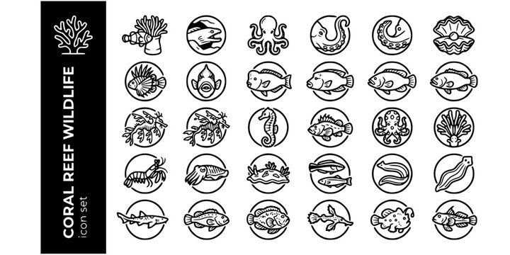 Coral Reef Tropical Ocean Bold Line Icons-Clownfish Moray Eel Octopus Giant Clam Lionfish Parrotfish Napoleon Wrasse Seahorse Leafy Sea Dragon-25 Reef Icon Set Vector