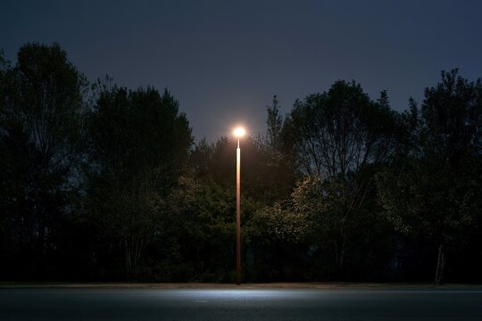 Lone lamp illuminates dark trees and empty road at night