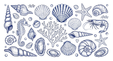 Vintage seashell and marine life vector set, hand drawn blue ink sea shells and coral illustrations, nautical starfish and seahorse collection © HUANG