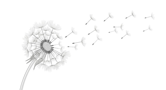 A delicate dandelion disperses its seeds, carried by the wind, symbolizing change, growth, and the ephemeral nature of life
