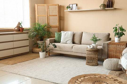 Comfortable sofa, rattan tables and houseplants in interior of living room