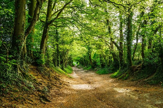 The Windmill Trail, Halnaker Hill , Boxgrove Village, West Sussex, England
