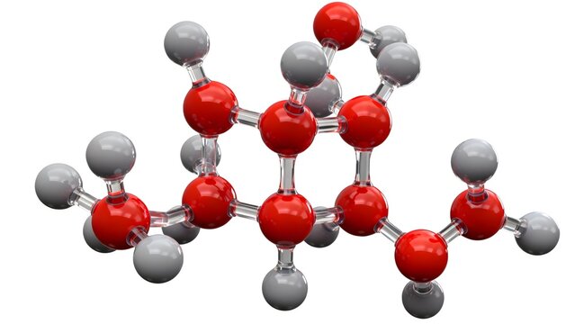 Molecular structure model