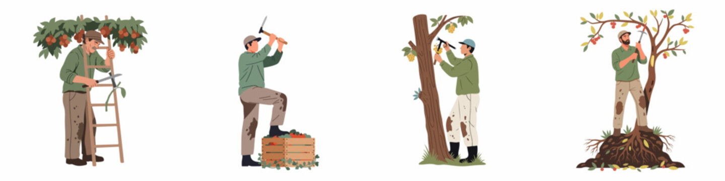 Set of male farmers and gardeners working in an orchard, harvesting fruits and pruning trees in a flat illustration style.
