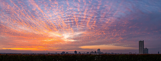Panoramic dramatic sunset sky with orange altocumulus clouds over cityscape horizon at dusk beautiful twilight background © Choat