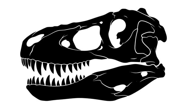 T Rex Dinosaur Skull Fossil Silhouette Vector Illustration