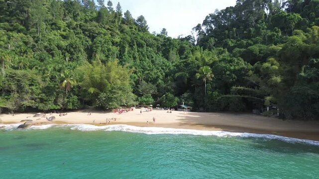 Drone footage of a small, secluded, idyllic beach with clear waters and surrounded by trees. Praia do Cedro, Sao Paulo