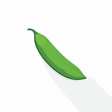A single fresh green pea pod isolated on white background.