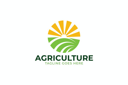 Modern Green Agriculture Terrace Farming Logo Design with Rising Sun Circle Vector Template