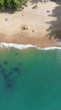 Aerial view of a small Caribbean beach with clear waters and people on the sand. Praia do Cedro, Sao Paulo
