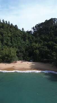 A small, secluded, idyllic beach with clear waters, surrounded by rainforest. Praia do Cedro, Sao Paulo