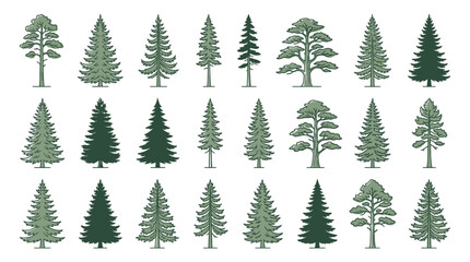 Obraz premium Collection of Evergreen Trees and Pine Trees Vector Graphics