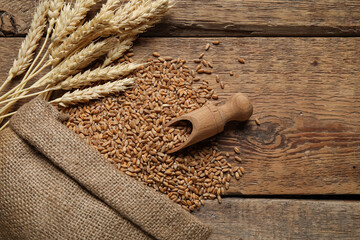 Obraz premium Sack with wheat grains, ears and scoop on wooden background