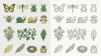 Collection of hand-drawn illustrations of insects, plants, and nature elements in color and outline. © renender