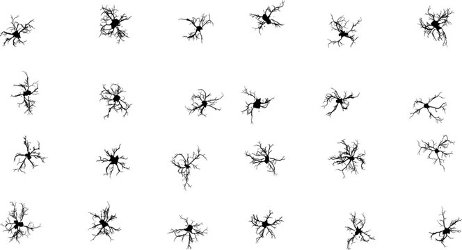 Black silhouette of neurons with branching dendrites on a stark white background