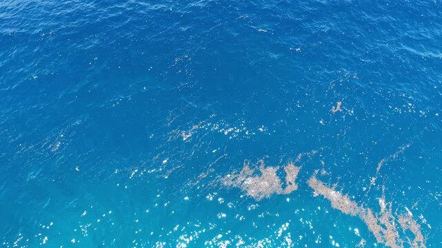 Drone Over Reef Drop-Off, Turquoise Shallows to Deep Blue, Panglao Bohol